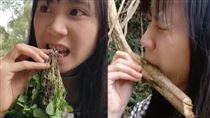 抖音女大生採藥試吃爆紅　網：現代神農？
