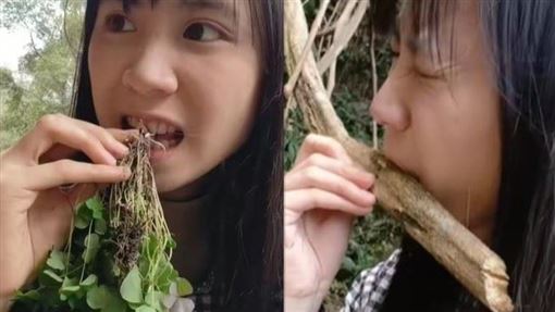 抖音女大生採藥試吃爆紅　網：現代神農？