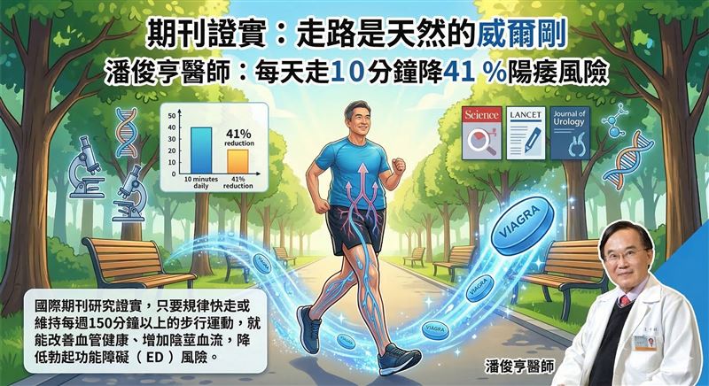 多國期刊證實:走路是天然威爾剛。潘俊亨醫師:每天走10分鐘可以降41%陽痿風險。(圖/GEMINI AI製作、潘俊亨醫師提供)