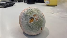 發霉。（圖／記者鄭玉如攝影）