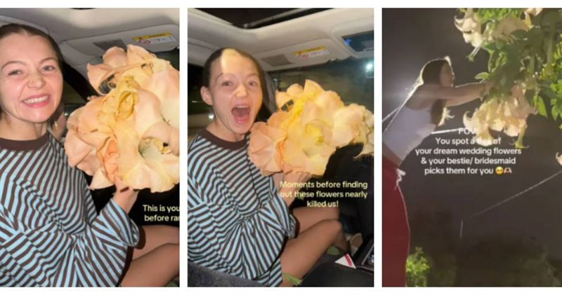 澳洲準新娘麥迪森．麥格林（Madison Mcglinn）與好友在雪梨街頭摘下喇叭狀花朵並拍攝影片，事後才發現該植物可能具有毒性。（圖／翻攝自TikTok，Madison Mcglinn）
