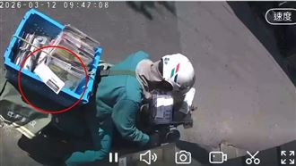 投遞信件1秒飛回找郵差　他笑：信很調皮