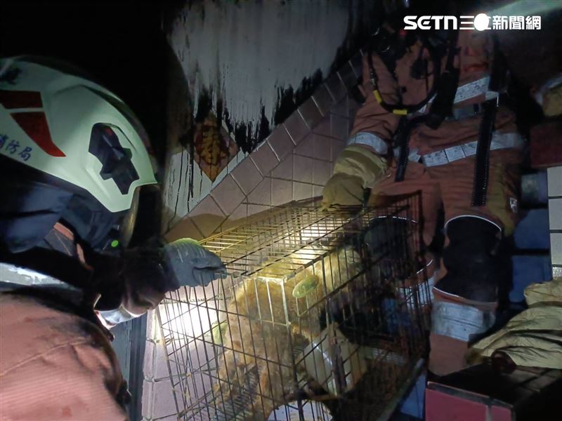 消防人員救出一家四口，屋內毛小孩也一同獲救。（圖／翻攝畫面）