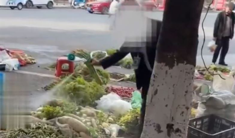 太沒良心!中國商販竟用滅蚊劑噴灑豬肉、蔬菜,畫面曝光全網炸鍋。(圖/翻攝自X平台@yingtan04410735)