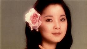 「但願人長久」鄧麗君經典回聲音樂會。（圖／阿爾發音樂提供）