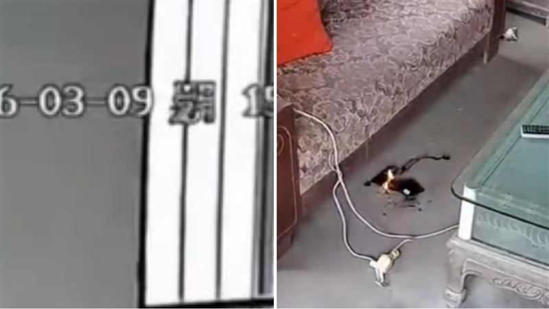 眼尖者揪出監視器計時、手機殘骸等有不尋常之處。(圖/翻攝自X)