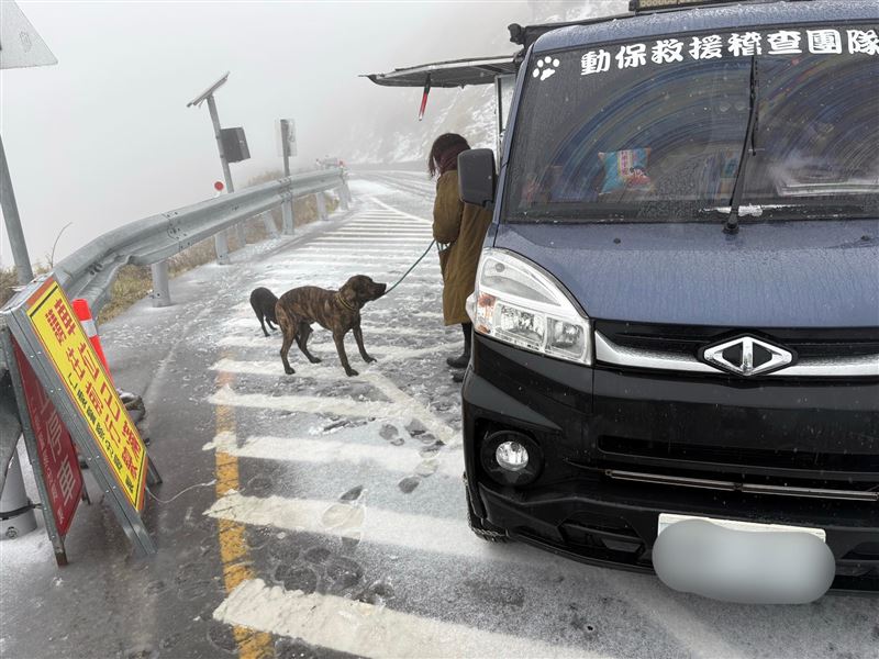 2隻毛小孩遭人惡意載上合歡山丟棄,幸好主人發現愛犬身影,趕緊上山接毛孩。(圖/翻攝自中橫路況交通資訊站臉書)