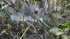 嘉義,林森東路,雜木林,火警,消防局,嗆傷昏迷,燒傷。（圖／民眾提供）