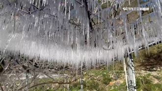 急凍！武陵農場凍成「水晶簾幕」美景天成