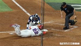 WBC8強賽，多明尼加隊左外野手索托（Juan Soto）躲過觸殺撲回第4分。（圖／特派記者劉彥池攝影）