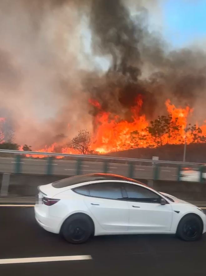 台中沙鹿示範公墓火警,起火地點鄰近國道3號,火勢及濃煙影響行車安全。(圖/翻攝自西濱公路群組)