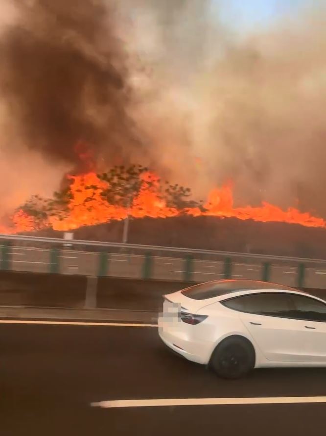 國道3號沙鹿段旁驚見火燒山,大火沿山坡狂燒,宛如一條火龍。(圖/翻攝自西濱公路群組)
