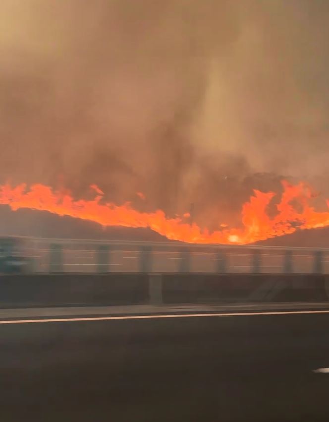 國道3號沙鹿段旁驚見火燒山,大火沿山坡狂燒,宛如一條火龍。(圖/翻攝自西濱公路群組)