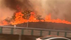 公墓,火警,雜草,國道,火龍,國3,大火,濃煙,台中,沙鹿（圖／翻攝自西濱公路群組）