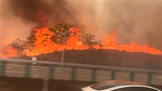 公墓火警！國道驚見「火龍燒山」恐怖畫面