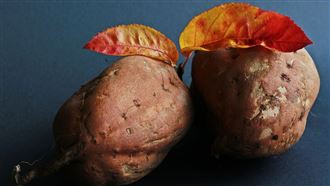 1食物發芽快丟！恐害神經麻痺 煮熟也沒用