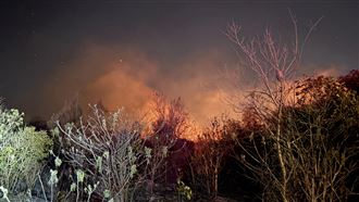 金門強風鎮海宮深夜雜草延燒3千坪