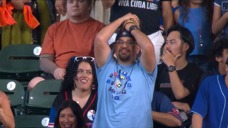 義大利、波多黎各之戰外野球迷伸手進場干擾。（圖／翻攝自MLB官網）