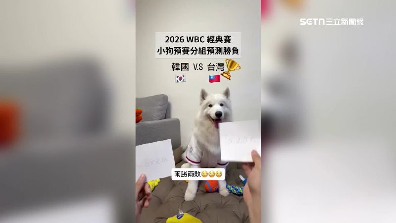 獨/神預測4場經典賽 薩摩耶神犬曝光