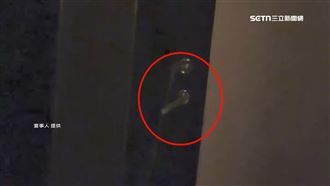 把租客「當女兒」　男房東闖屋摸頭挨告