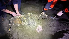 死亡,腐爛,淡江大牆,海巡,警方