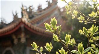 春分為木氣最旺時刻，與龍抬頭疊加象徵萬物生發，是啟動事業計畫的最佳時機。（圖／ai製作）