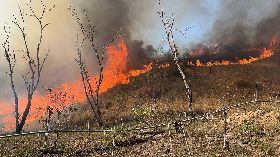 台中市連日多起雜草、公墓火警