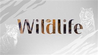 SET Wildlife 三立自然頻道