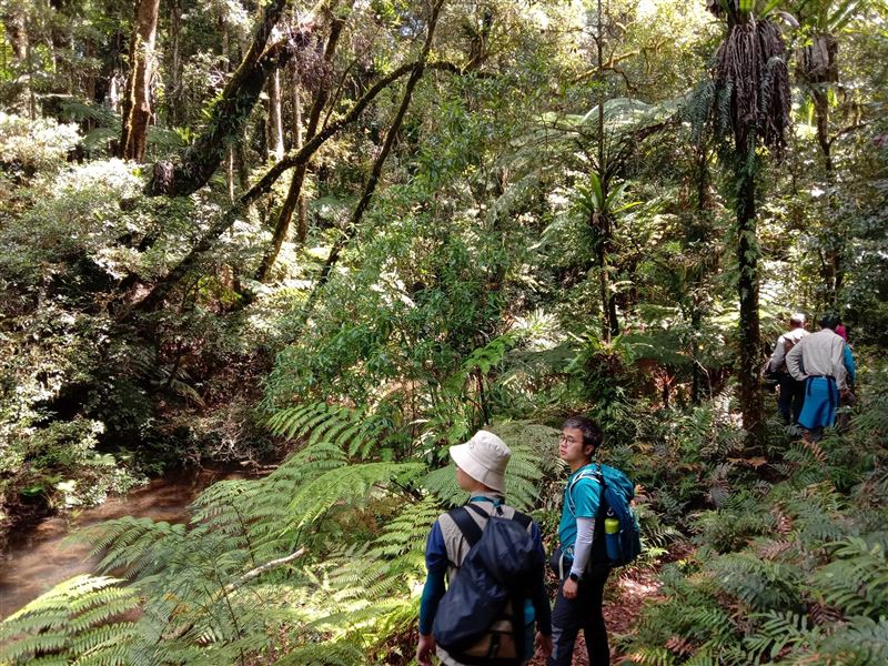 中興大學昆蟲系助理教授蕭昀在澳洲發現3隻全新的稀有甲蟲，以寶可夢3神鳥為甲蟲命名。（圖／中興大學提供）