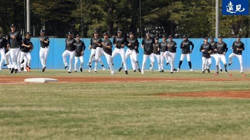 WBC經典賽再掀熱潮「紅不讓經濟學」解密