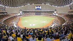 國球的「金」時代：當棒球不再只是熱血，而是一門百億好生意。（圖／遠見雜誌提供） 