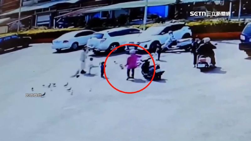 高雄林園有婦人疑似餵毒米，導致鴿子大量死亡