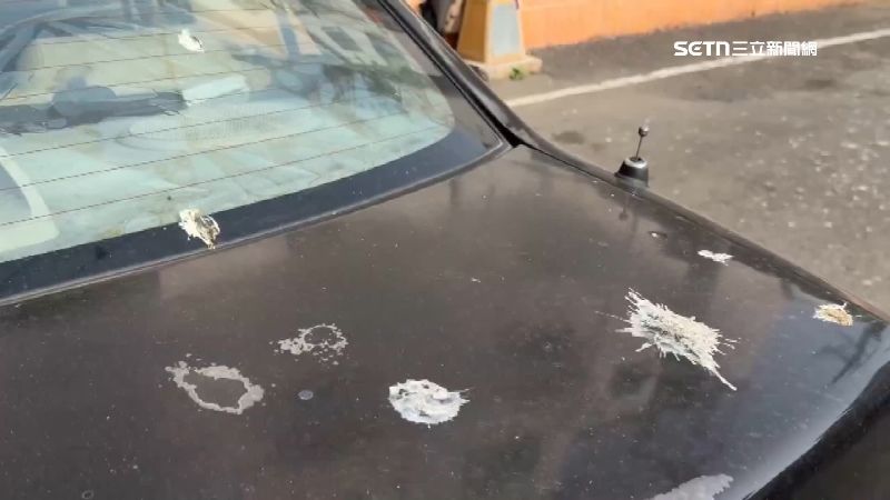 因長期餵食鴿子，附近常有鳥屎落下