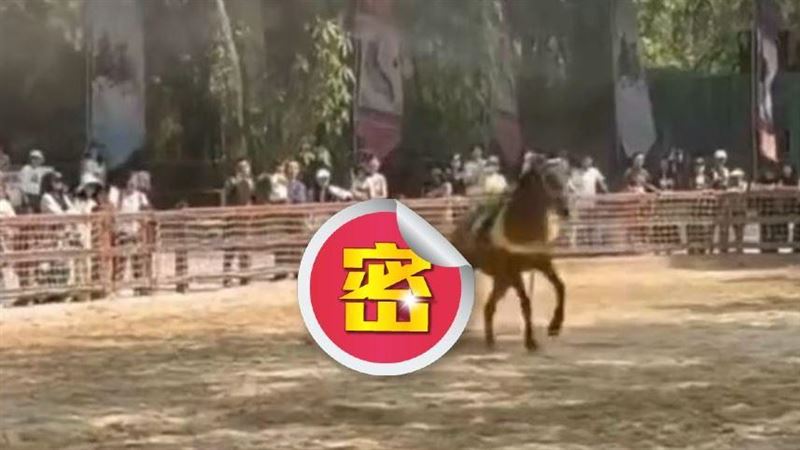 慎入!表演馬匹失控「女騎士墜馬遭拖行」