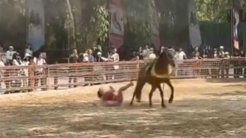 廣州長隆野生動物世界驚傳「廣州表演馬匹失控」意外!(圖/翻攝自微博)