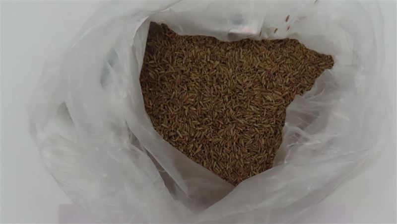 扯!6批印度香辛料檢出「16種農藥殘留」