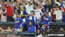 WBC4強賽，委內瑞拉隊球員在休息區歡呼。（圖／特派記者劉彥池攝影）