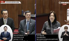 卓榮泰則痛批馬文君扭曲事實，「你認為中華民國沒有資格編三兆的預算？」（圖／翻攝自國會頻道）