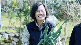 網發米糕文竟釣出蔡英文「留言9字」！12萬網笑瘋：卸任整天上網嗎？（圖／翻攝自Threads）