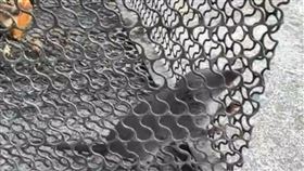 彰化,錢鼠,紅包,清潔隊,帶財,誘捕籠,田中鎮公所。（圖／翻攝畫面）