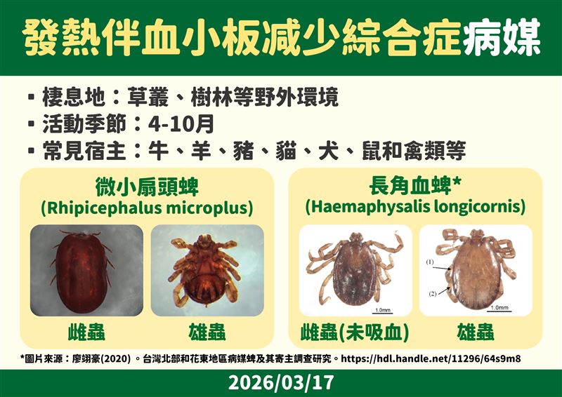 發熱伴血小板减少綜合症病媒。（圖／疾管署提供）