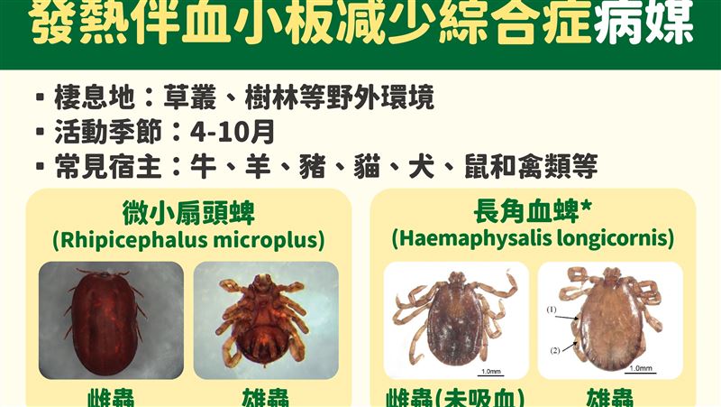 台僅3例 發熱伴血小板減少綜合症致死率曝
