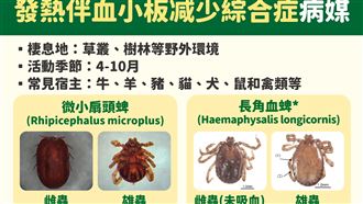 台僅3例 發熱伴血小板減少綜合症致死率曝