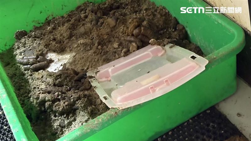 愛貓人士趕到場救援找不到一處乾淨的磁磚能站立，貓砂盆溢出蟲子，罐頭攪和在鐵鍋裡發臭。（圖／翻攝畫面）