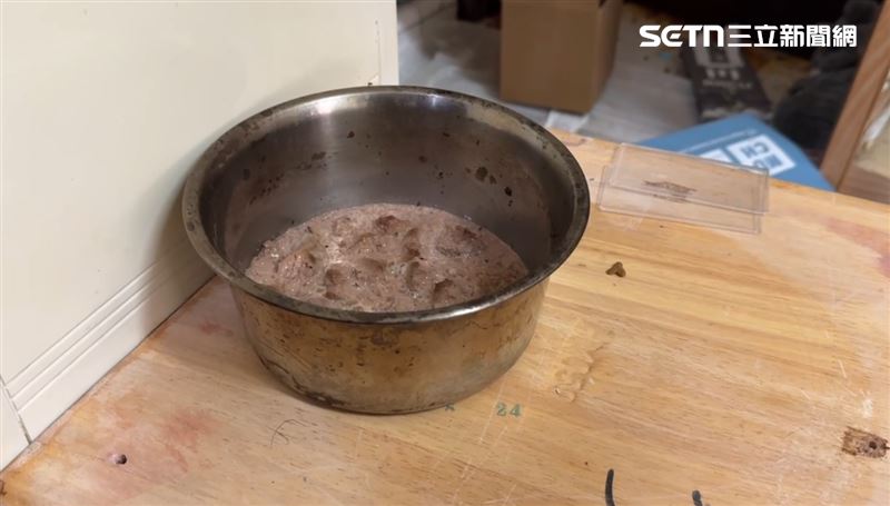 愛貓人士趕到場救援找不到一處乾淨的磁磚能站立，貓砂盆溢出蟲子，罐頭攪和在鐵鍋裡發臭。（圖／翻攝畫面）