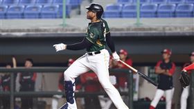 魔鷹（Steven Moya）敲出逆轉兩分砲。（圖／台鋼雄鷹提供） 