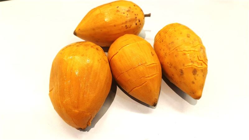 仙桃又被稱為「蛋黃果」,富含膳食纖維、維生素C、類胡蘿蔔素,鎂、鈣、鐵等礦物元素,營養密度很高。(圖/記者許雅惠攝影)