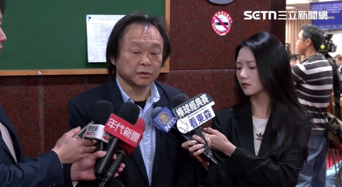 王世堅受訪談民進黨選情。（圖／翻攝畫面）