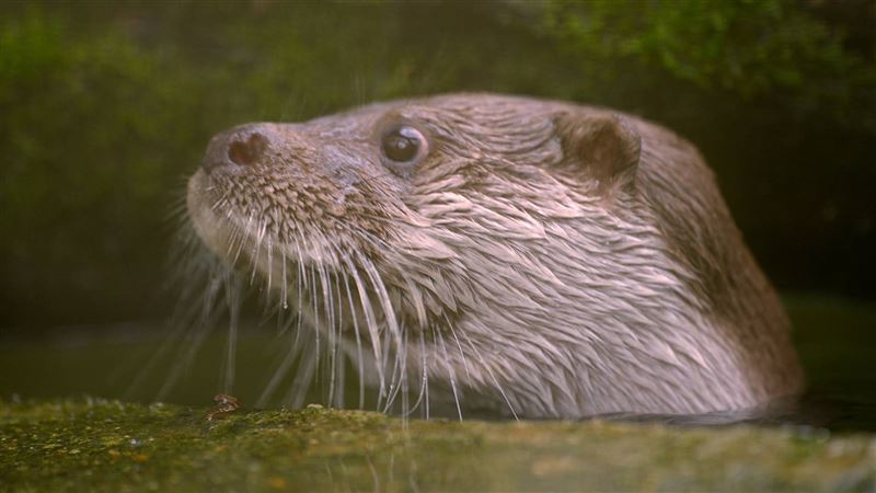 金鐘獎團隊打造超狂！《戰地阿特》震撼登場　白心儀揭「血汗內幕」