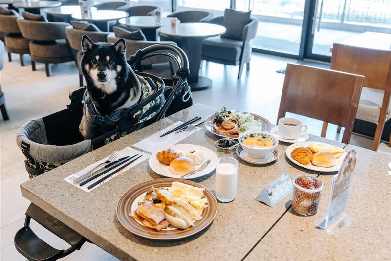 福容福隆店-大廳酒吧早餐時段設有毛孩用餐區。（圖／飯店旅宿業者提供）